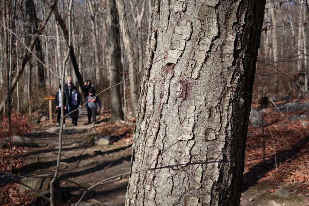 Bartlett-Arboretum-Visitors-Stamford-CT