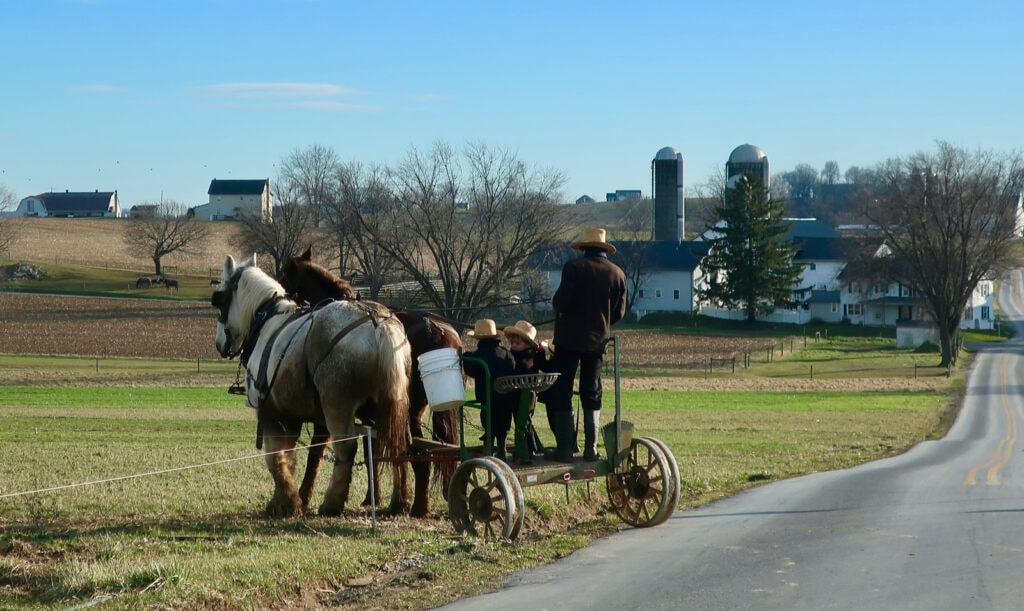 Amish-Farm-Family-Working-Draft-Horses-PA