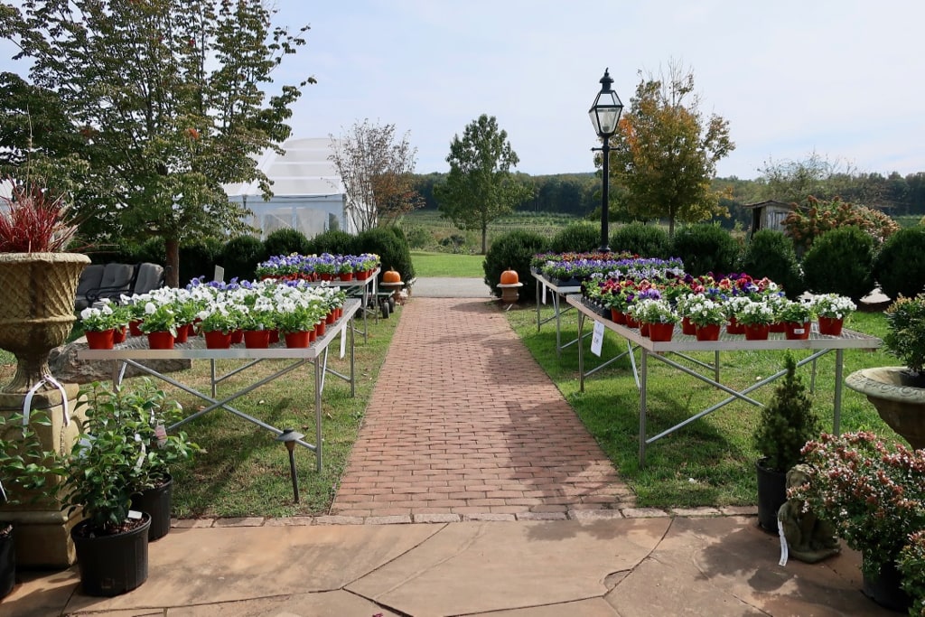 Market at Grelen Somerset VA