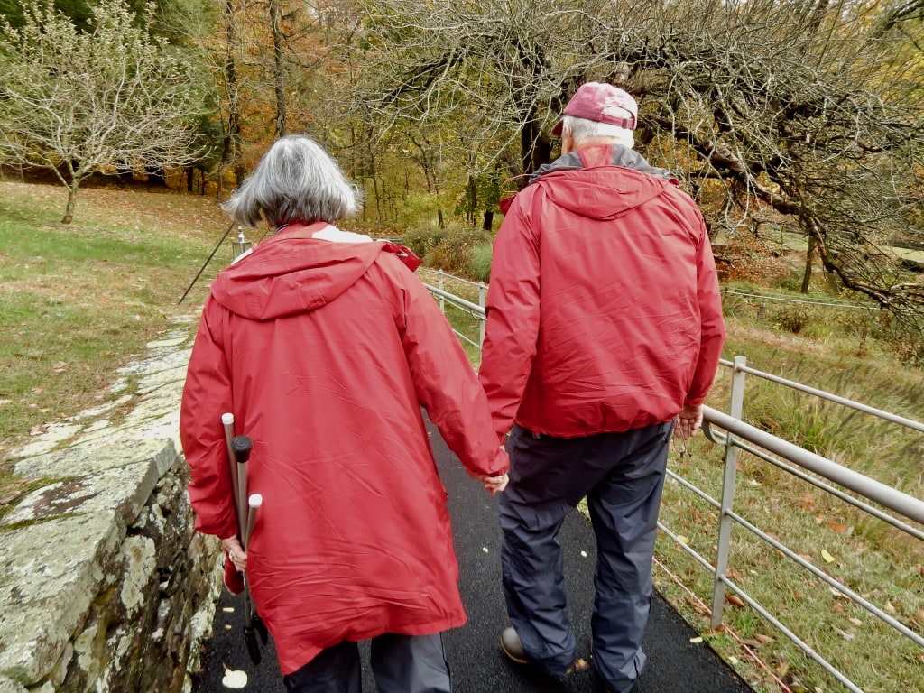 Older couple holding hands