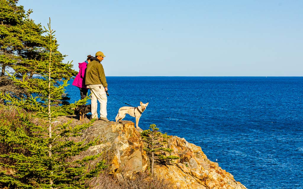 Couple walks dog on rocky outcropping at Acadia National Park in Maine. Hikes are a popular thing to do at romantic destinations in Northeast US.