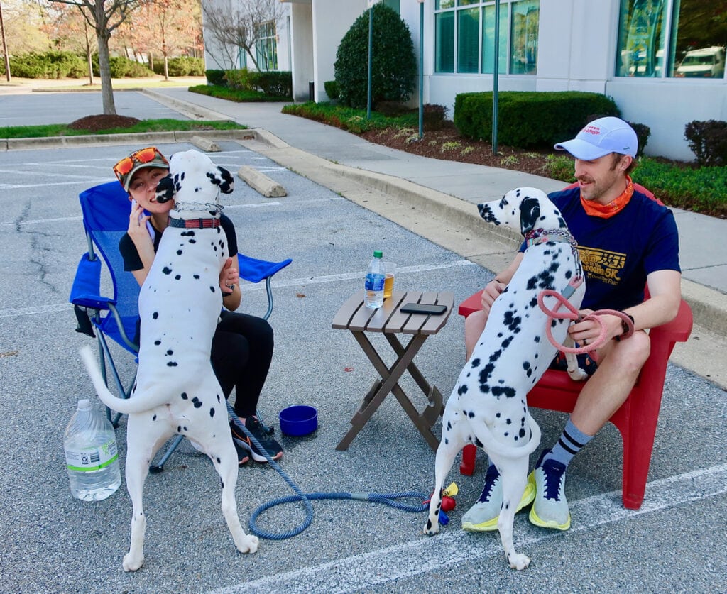 Beer and Dogs Calvert Brewing Co Upper Marlboro MD