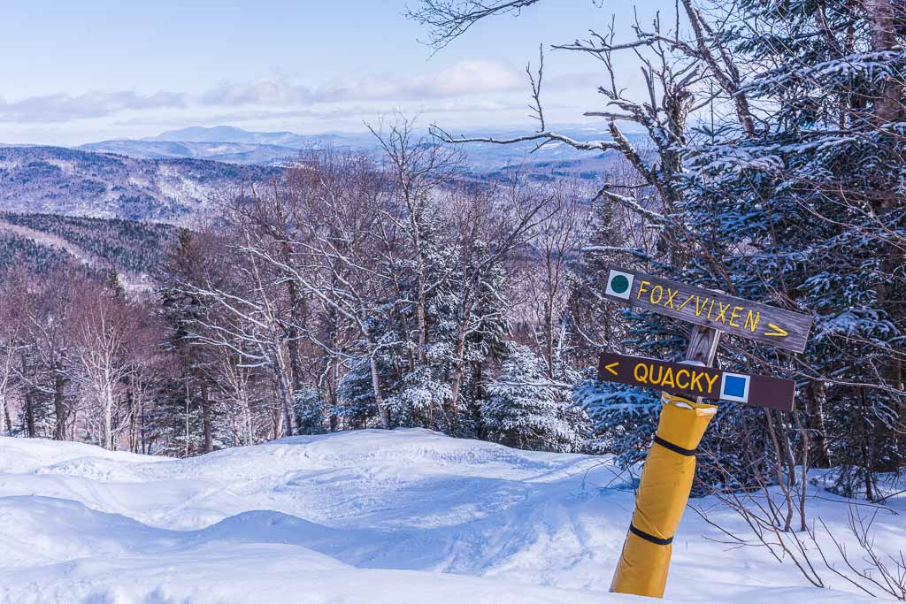 Sign post for Quacky (Intermediate Blue Square) and Fox Vixen (Easy Beginner) ski trails.