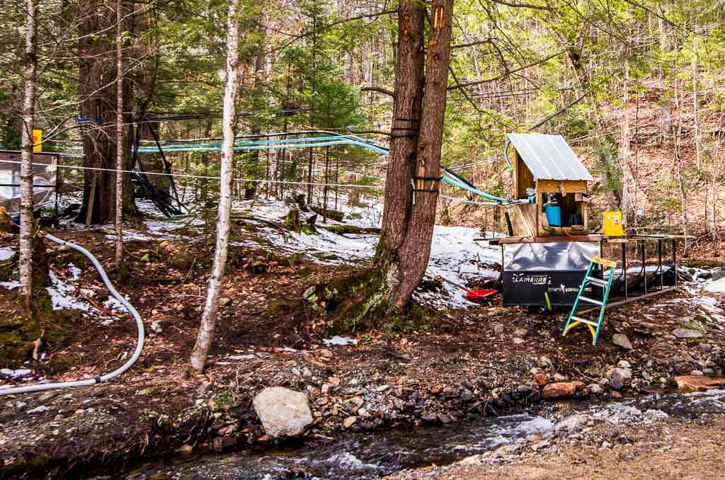 Maple syrup tapping connected by tubes.