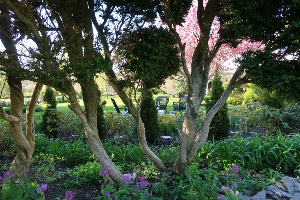 Candleberry Inn backyard Brewster MA