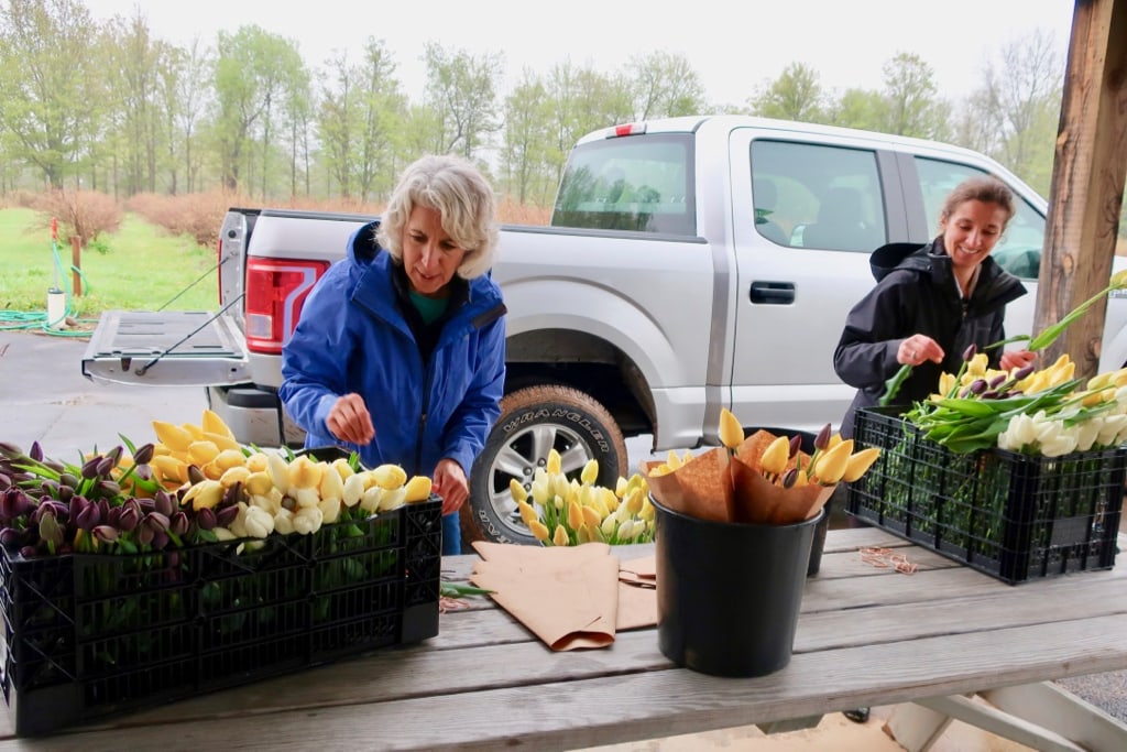 Family members bundle flowers at North Star Orchards Westmoreland NY