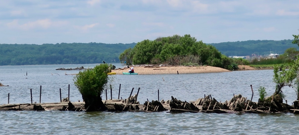 Kayaking Mallows Bay and Ghost Fleet MD