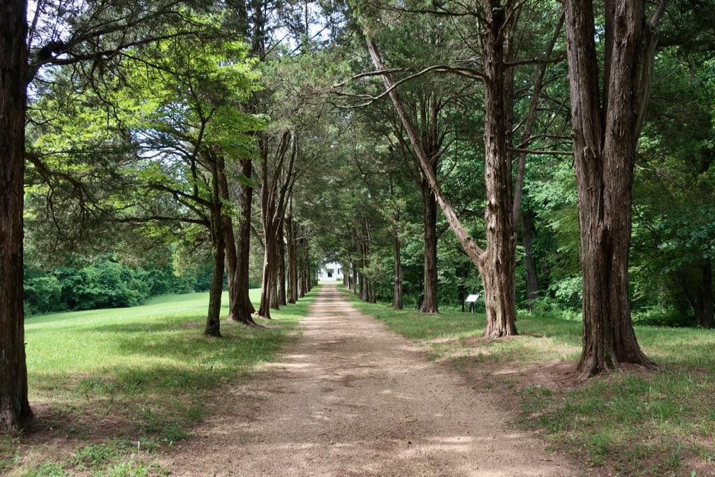 Tree lined approach to Mt Avertine Mansion Chapman State Park MD