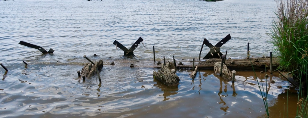 Close up of Ghost Fleet ruins Mallows Bay Potomac River MD