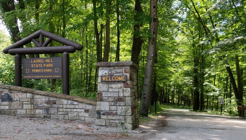 Laurel Hill State Park Champion PA