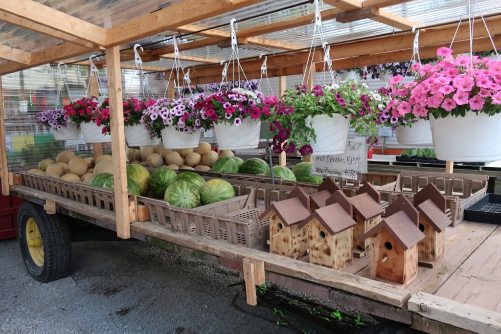 Produce and flowers at Pletchers Farm Market PA