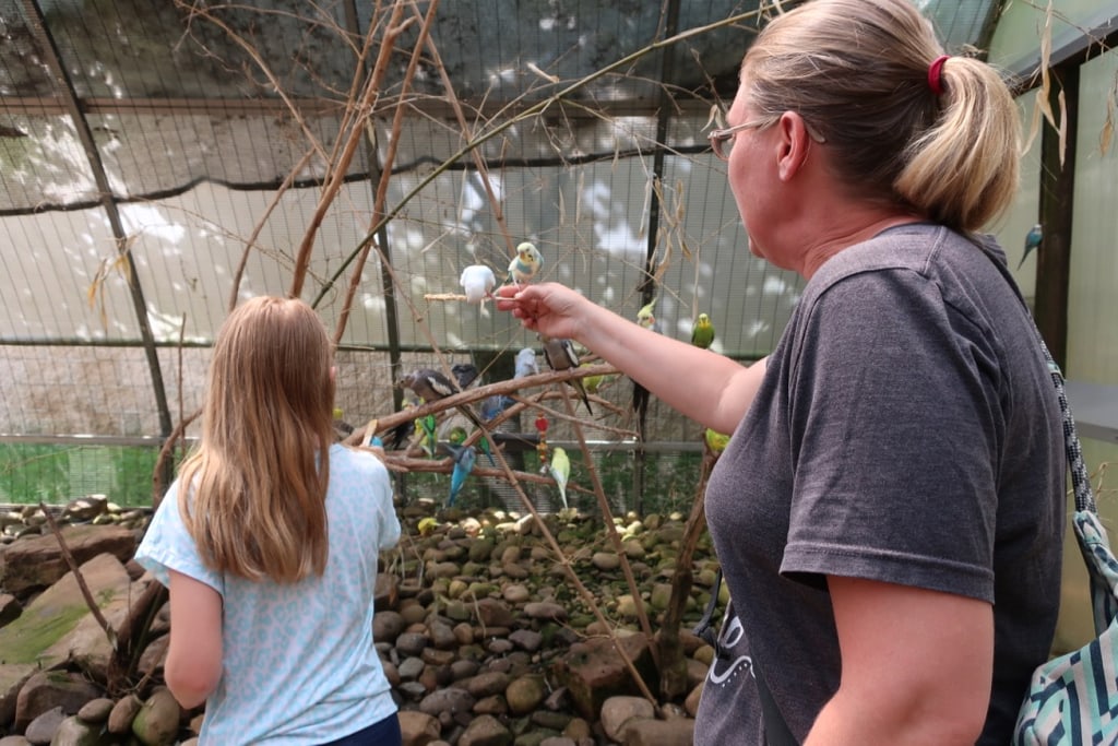 Feed parakeets Clyde Peeling Reptiland PA