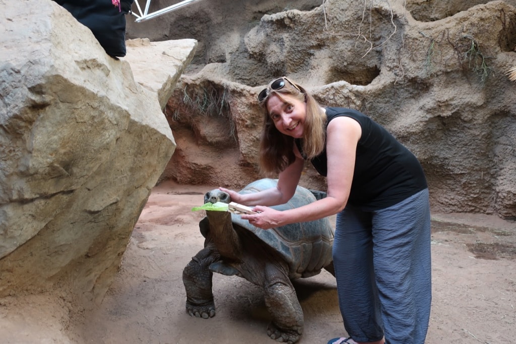 Meet and Greet Gentle Giants Tortoises at Reptiland Allenwood PA