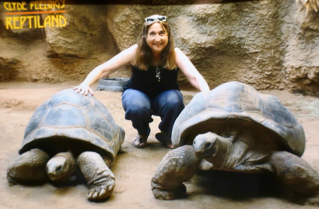 Tortoise Encounter at Clyde Peelings Reptiland PA