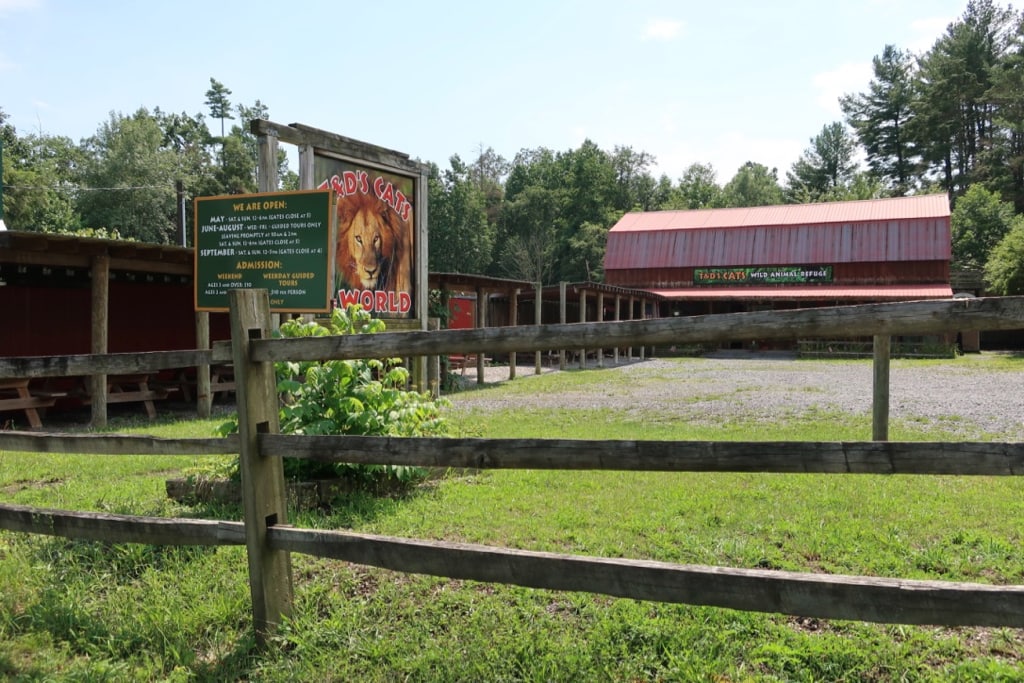 T and D's Cats of the World entrance Penns Creek PA