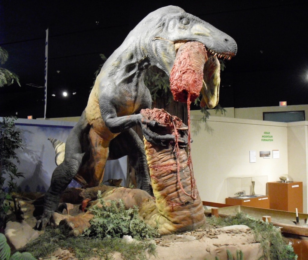 Dinosaur Journey Museum Fruita CO