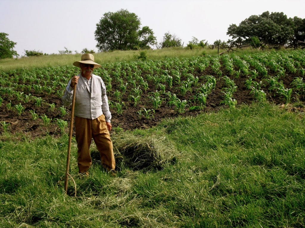 Working in the fields at Living History Farms Urbandale IA