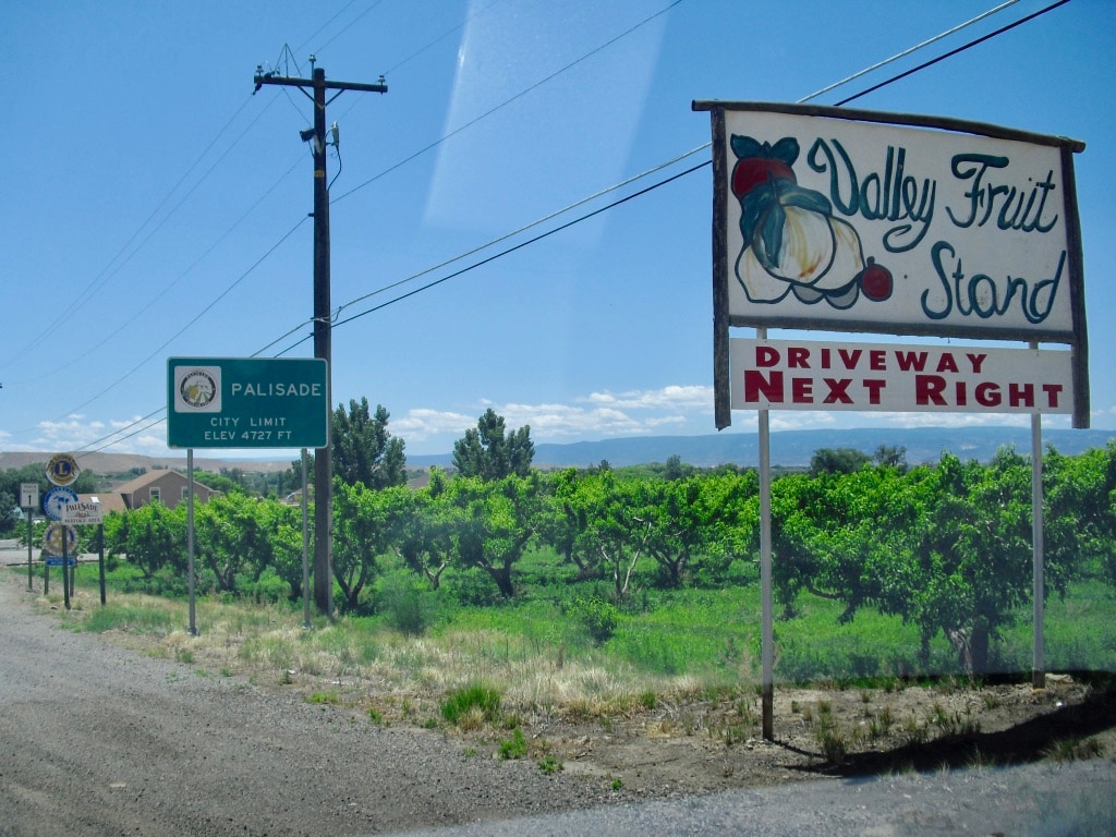 Palisade CO Fruit and Wine Region