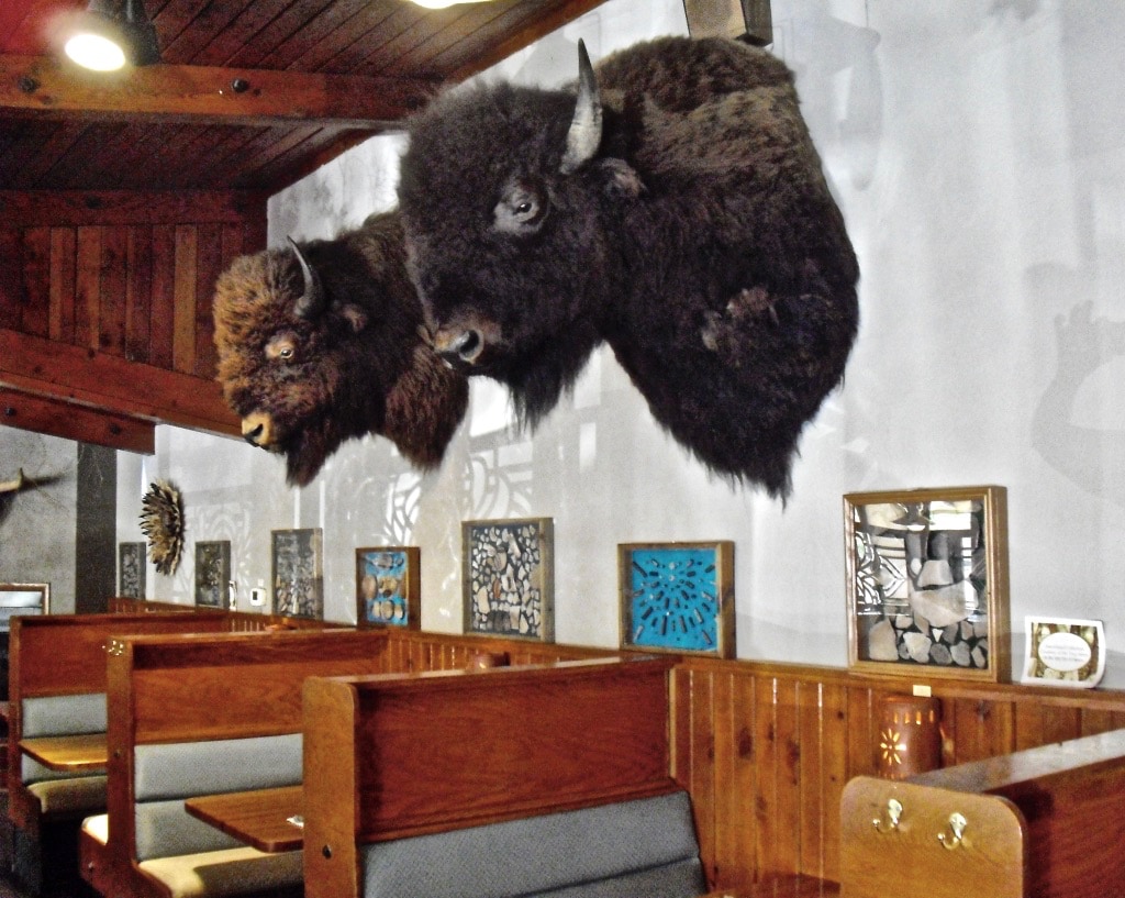 Buffalo heads over tables at Pepper Pod Restaurant Hudson CO