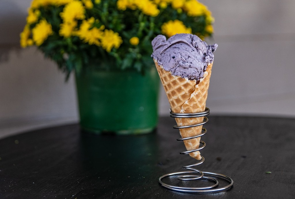 Blueberry ice cream in a waffle cone at Scott Farms.