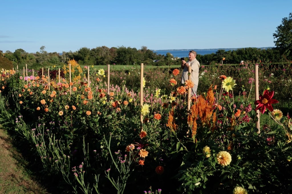 Harkness Memorial State Park flower garden