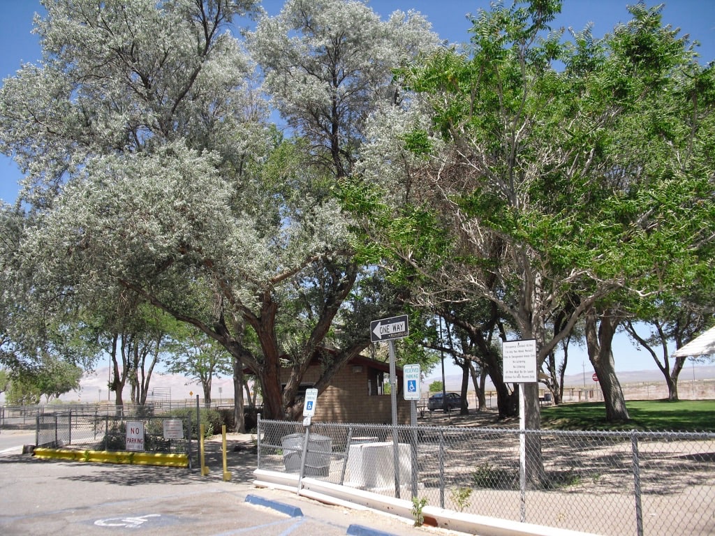 Miller's Rest Area  - only shade on US Route 6 western NV