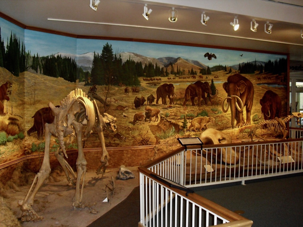 Dinosaur diorama at Prehistoric Museum Price UT