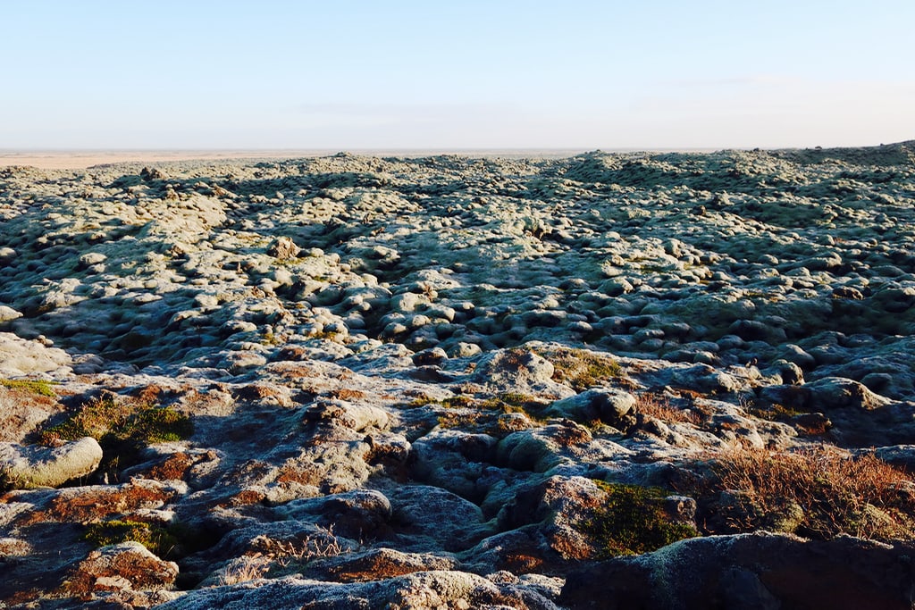 Eldhraun Lava Field, Route 1 Iceland