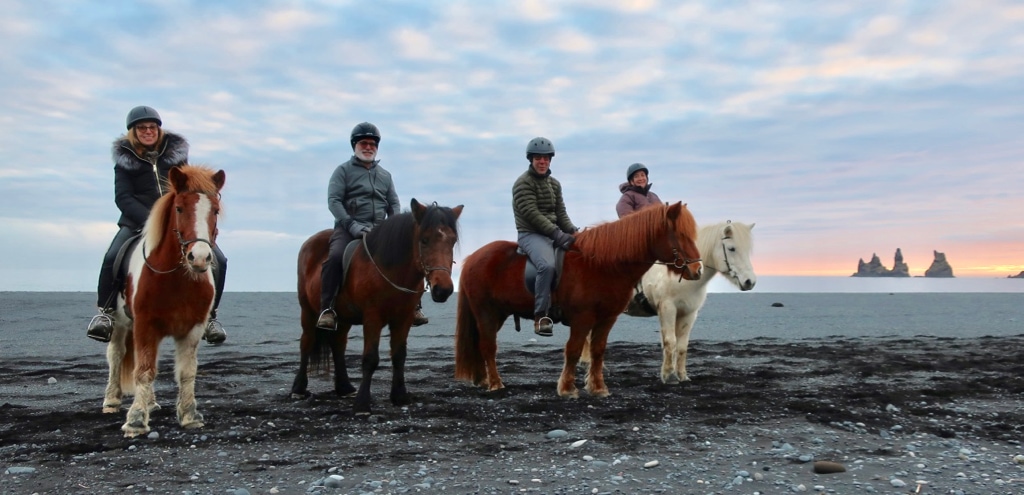 Vik Horse Adventure Near-Sunset Ride