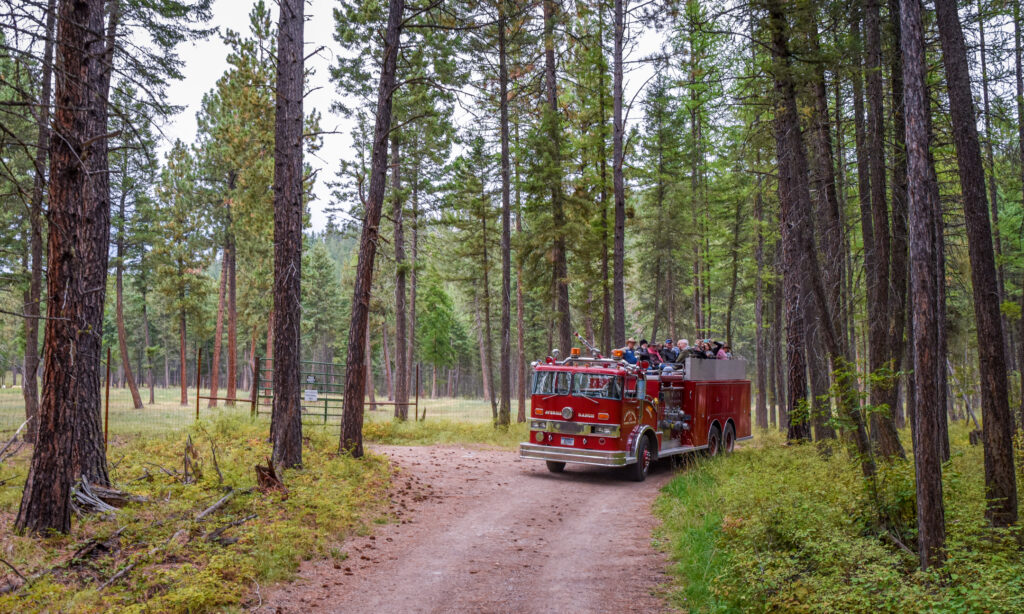 Vintage fire truck on forest road