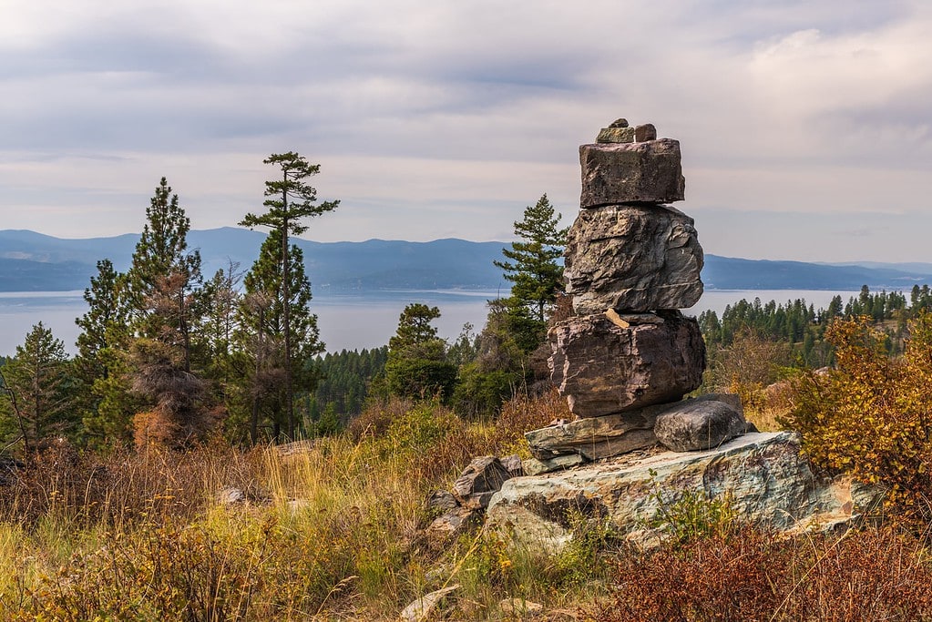 View of Flathead Lake from forest trail