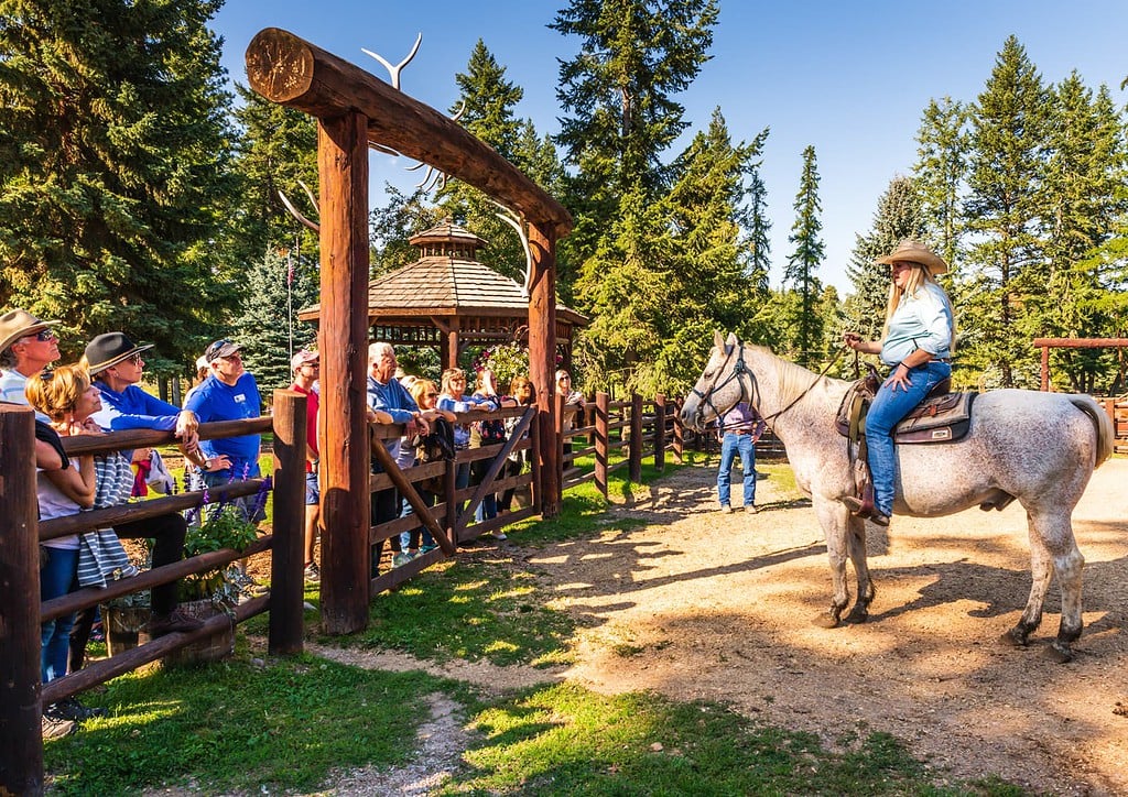 Horseback riding lessons