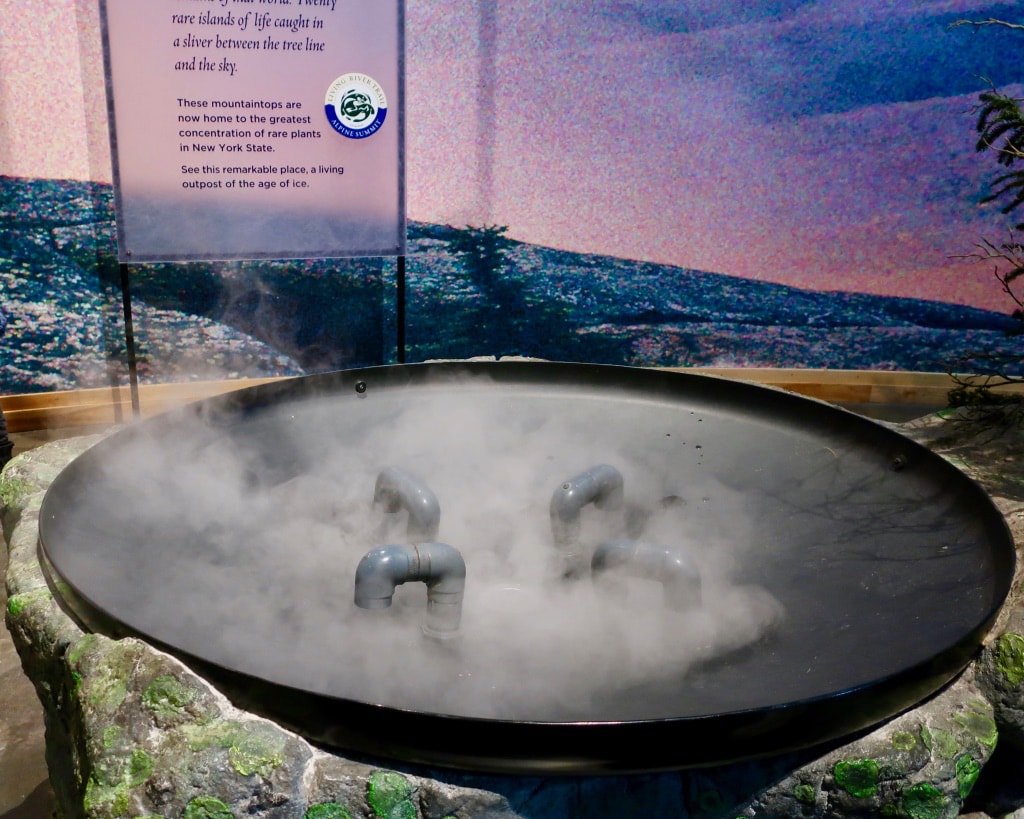 Touch a Cloud at Wild Center Adirondacks Natural History Museum