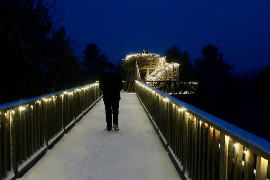 Snowy winter night at WILD Center for WILD Lights