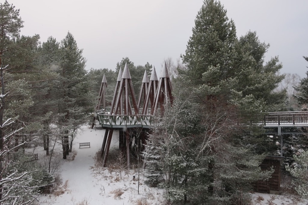 Wild Walk at Wild Center in Winter Tupper Lake NY