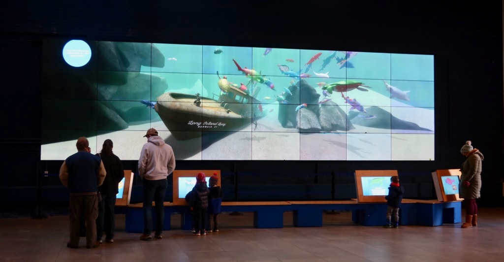 Largest interactive video wall in New England at Maritime Aquarium Norwalk CT