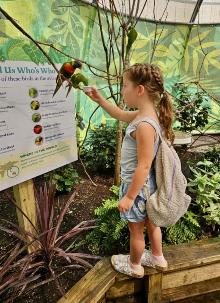 Girl feeding parrot at Maritime Aquarium Norwalk CT