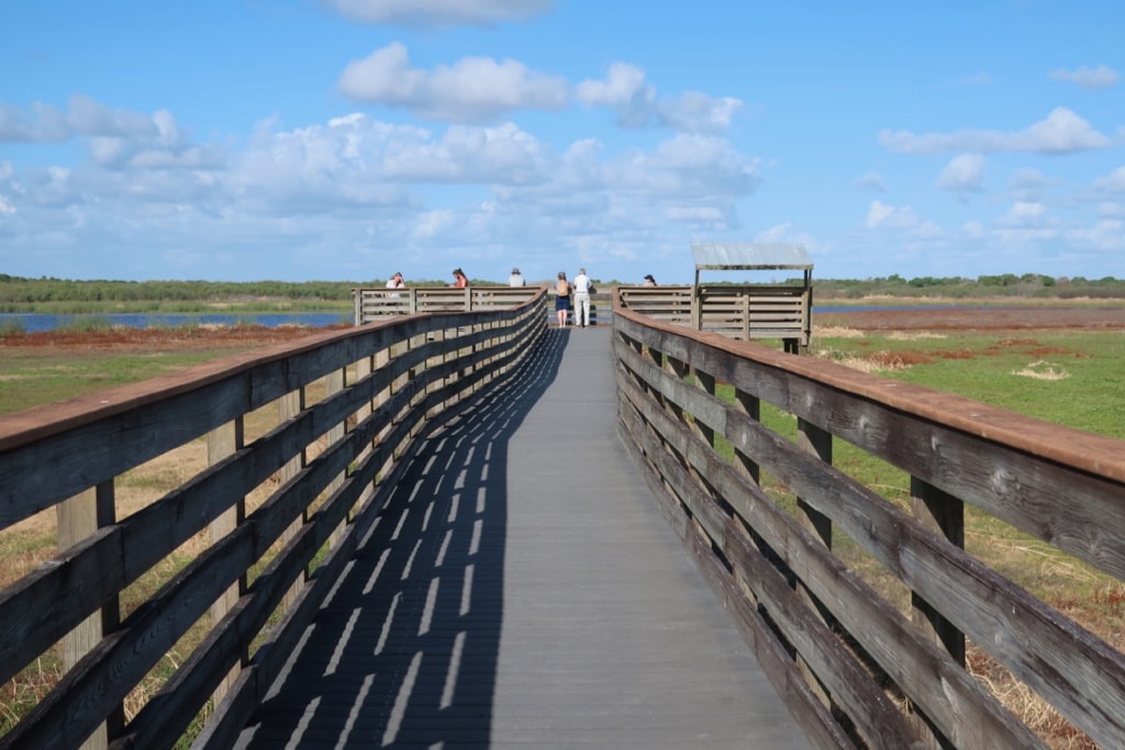 Bird Watching Boardwalk Myakka River SP