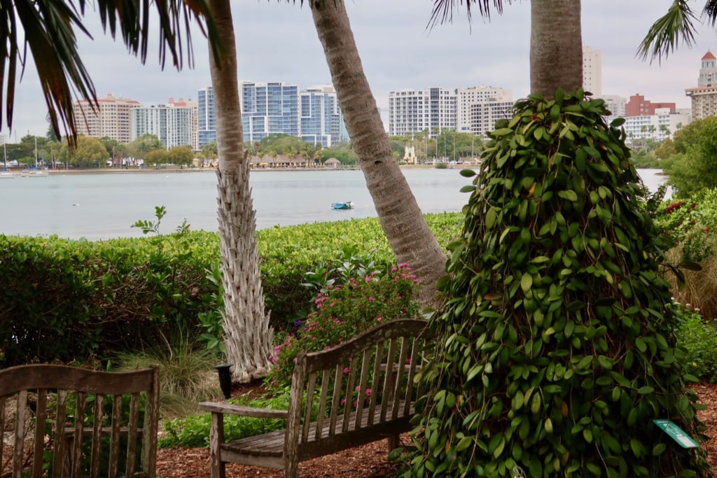 Far view of downtown Sarasota FL on the waterfront