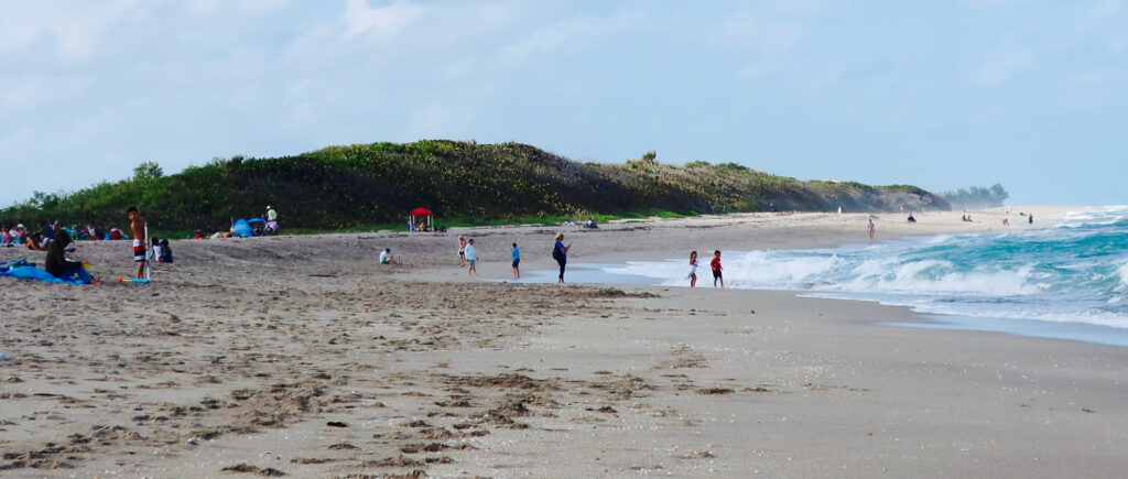 John MacArthur SP beach, Singer Island FL
