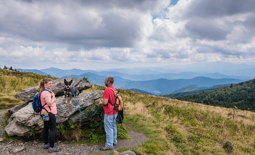 Appalachian Trail in Tennessee