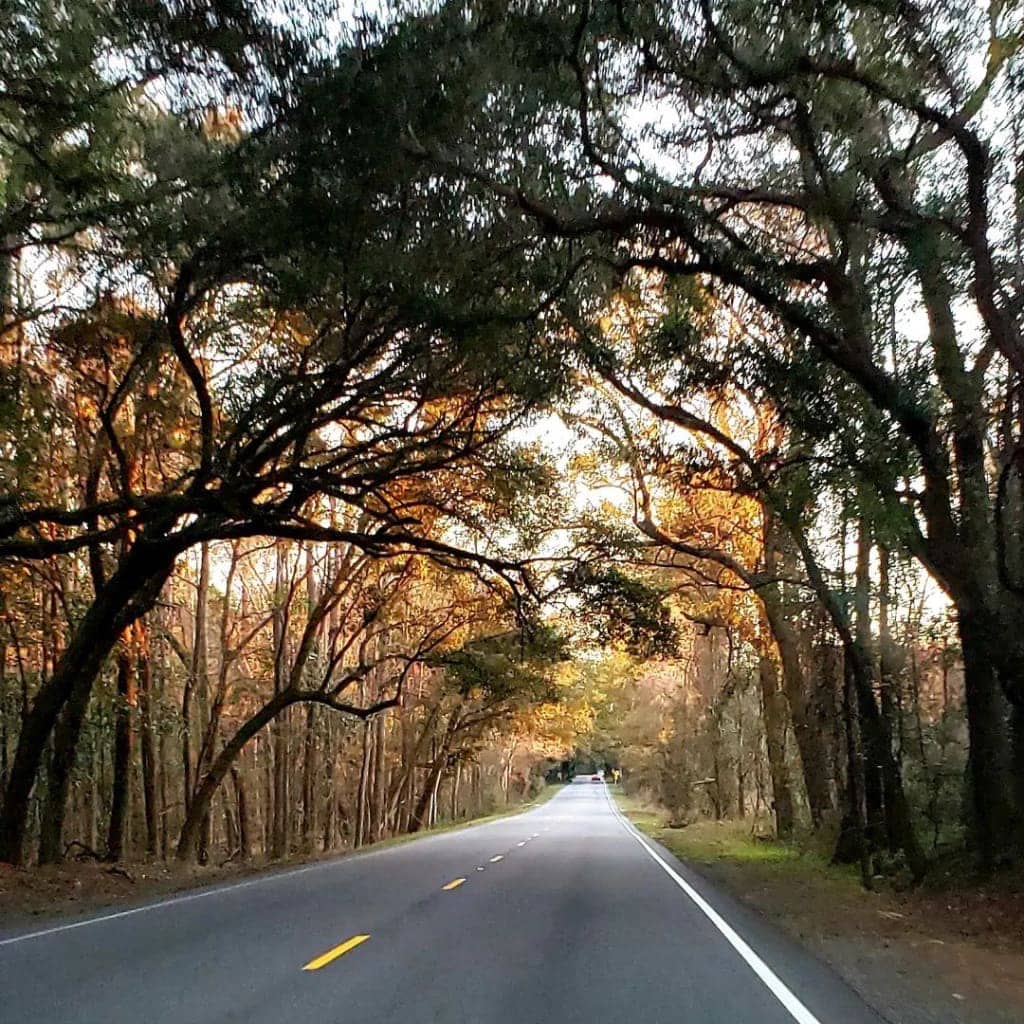 Approach to Kiawah Island SC