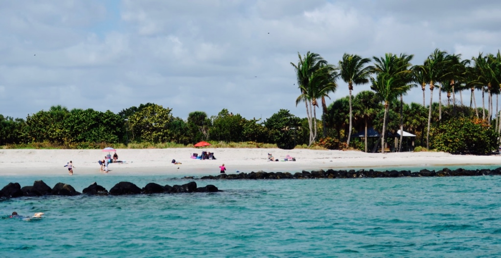 Snorkeling off Peanut Island FL