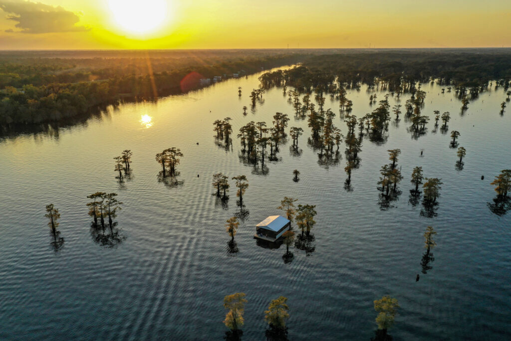 Atchafalaya Swamp