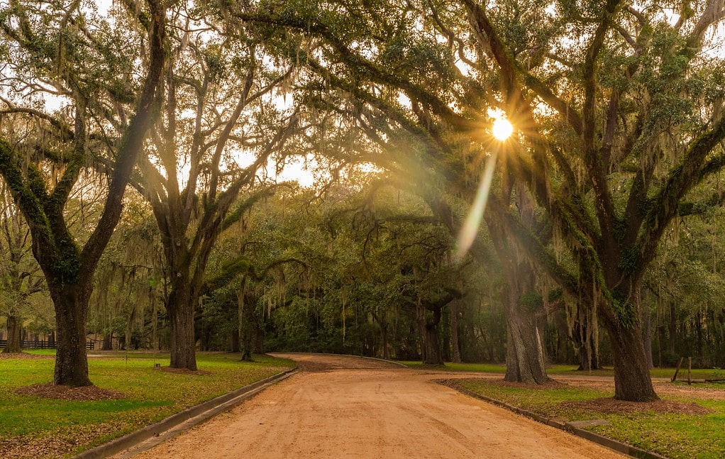 Old plantation in Georgia