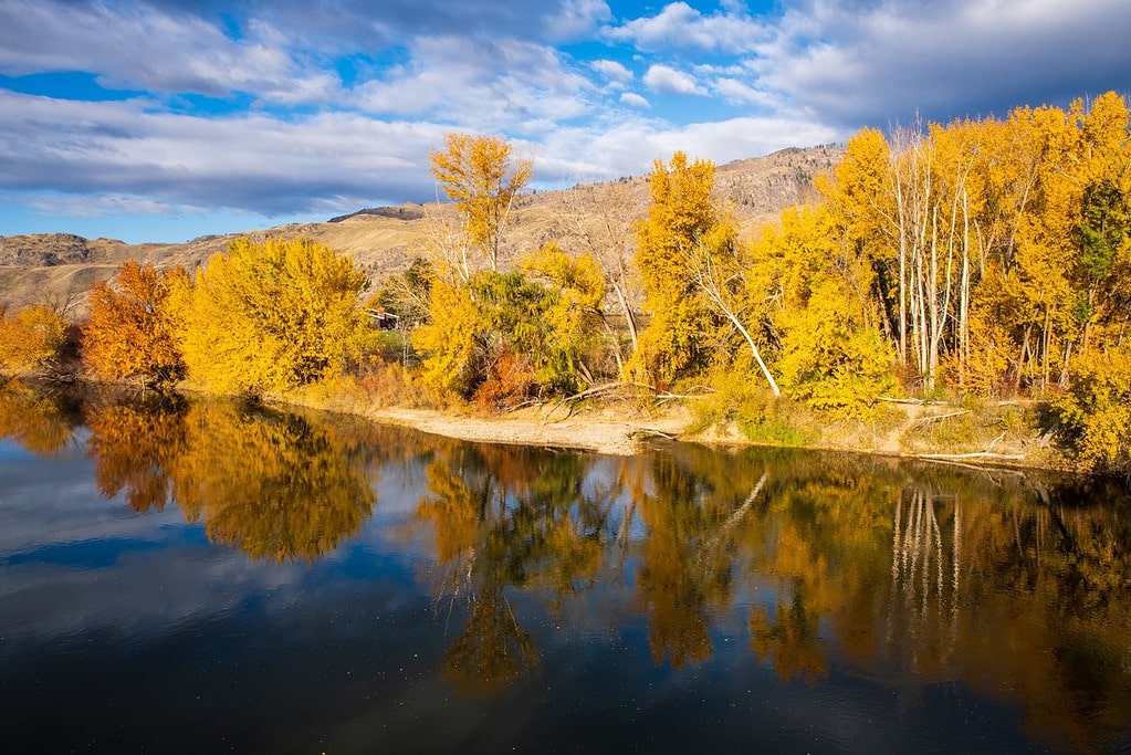 Washington State fall foliage