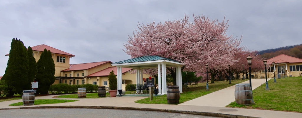 Breaux Vineyards tasting room with Cherry Blossom trees in bloom