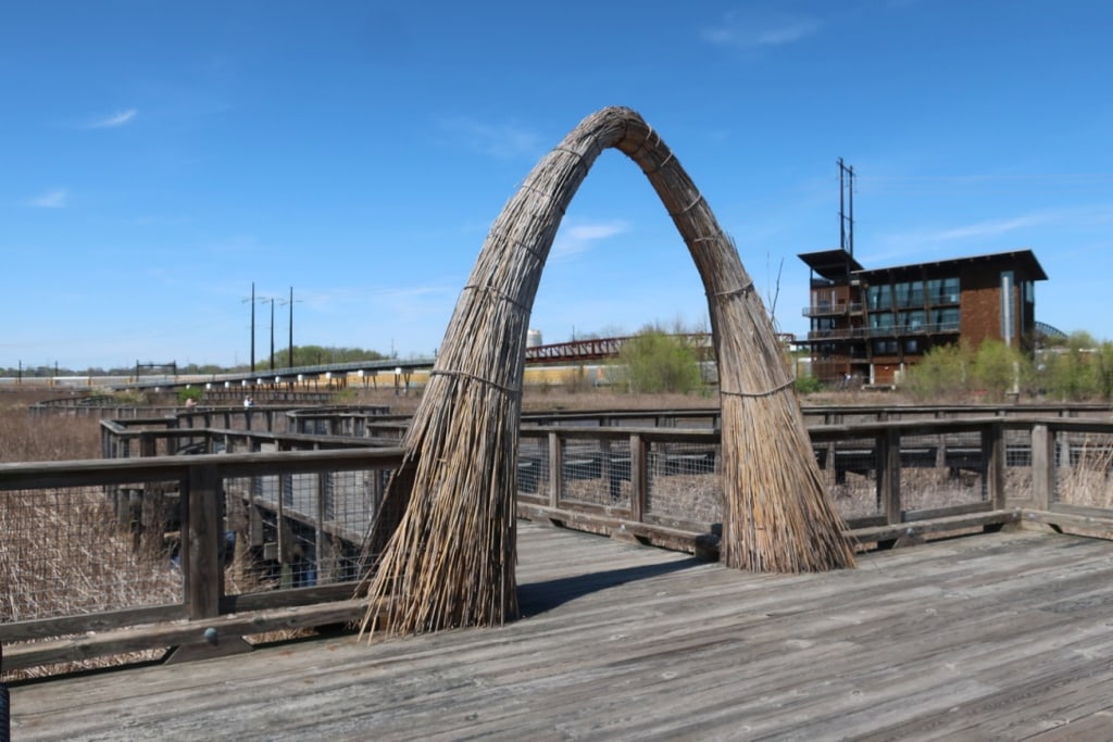 Natural sculptures on quarter mile boardwalk at DuPont Environmental Center Wilmington DE