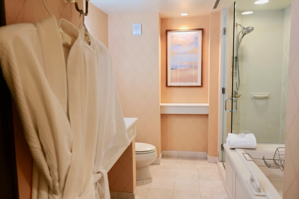 Pretty hotel bath with robe Hotel DuPont DE