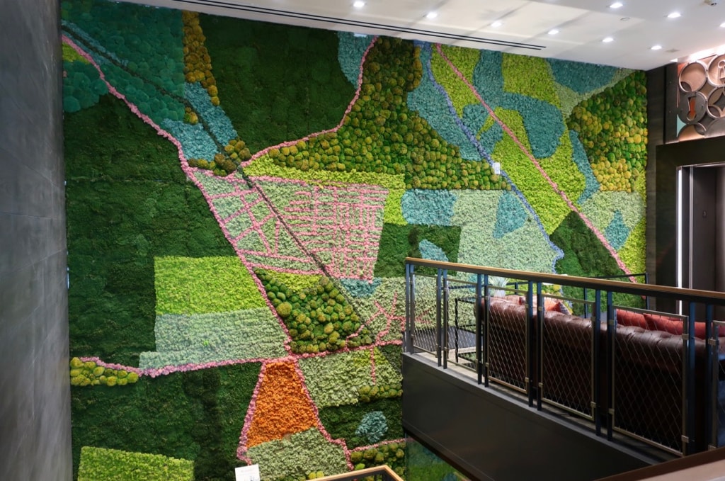 Living Wall Montgomery County MD in colorful moss, Canopy Hotel Pike and Rose MD